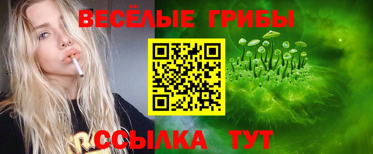 Зеленогорск  Галлюциногенные грибы Cubensis  Вход с VPN 