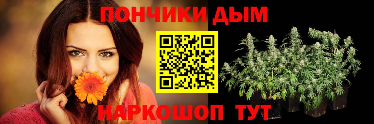 Зеленогорск  Канабис сатива  Вход с VPN  Каннабис ГИДРОПОН 